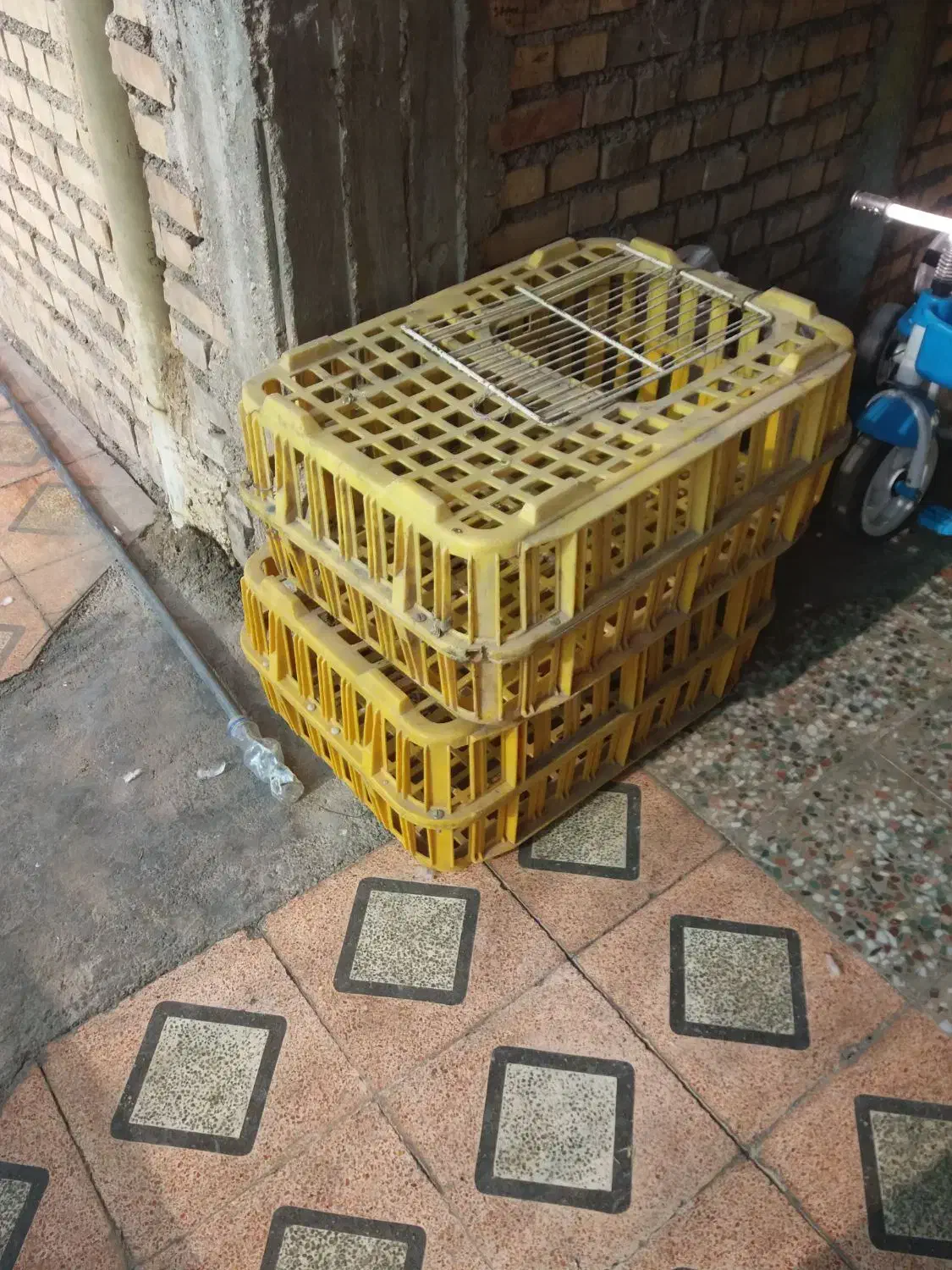 دوعدد قفسه مرغ یکیش نوهست ویکیش درحد نو دربراش|لوازم جانبی حیوانات|ایذه, |دیوار