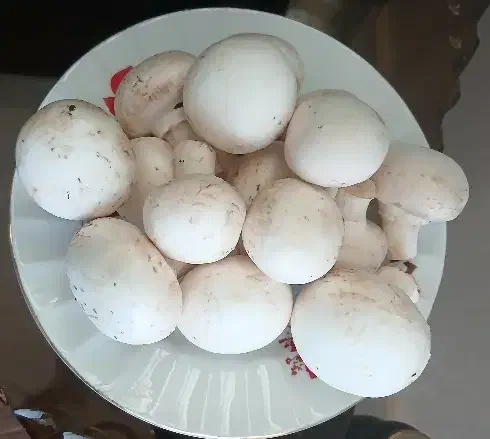 قارچ|خوردنی و آشامیدنی|برزک, |دیوار