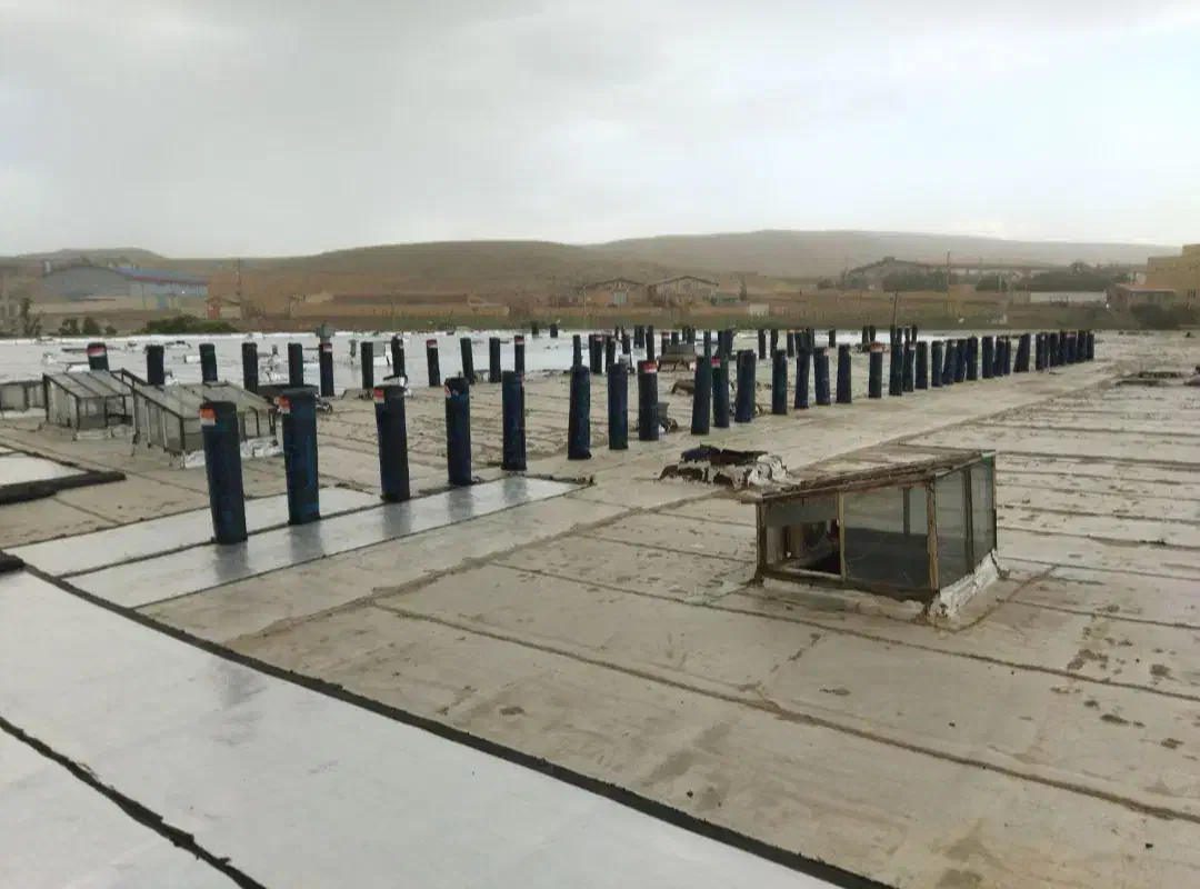 ایزوگام محمدی هم نصب داریم هم فروش نقد اقساط|خدمات پیشه و مهارت|تبریز, |دیوار