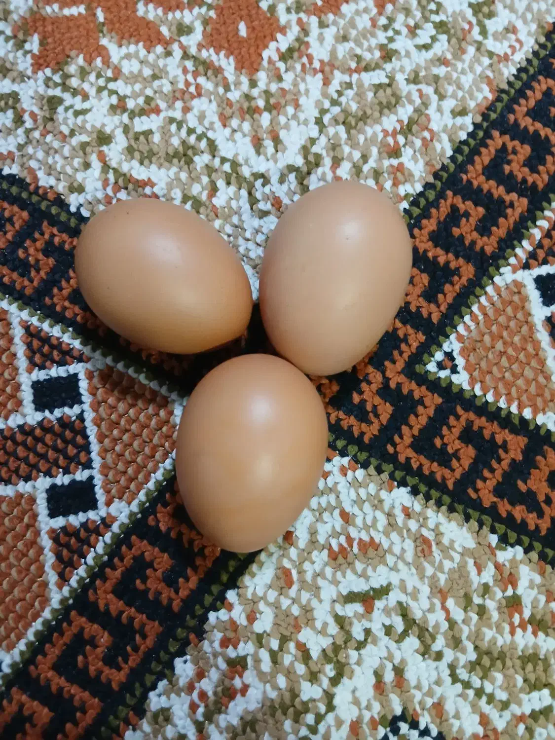 تخم مرغ بومی تازه|خوردنی و آشامیدنی|نجف‌آباد, شهید بهشتی|دیوار