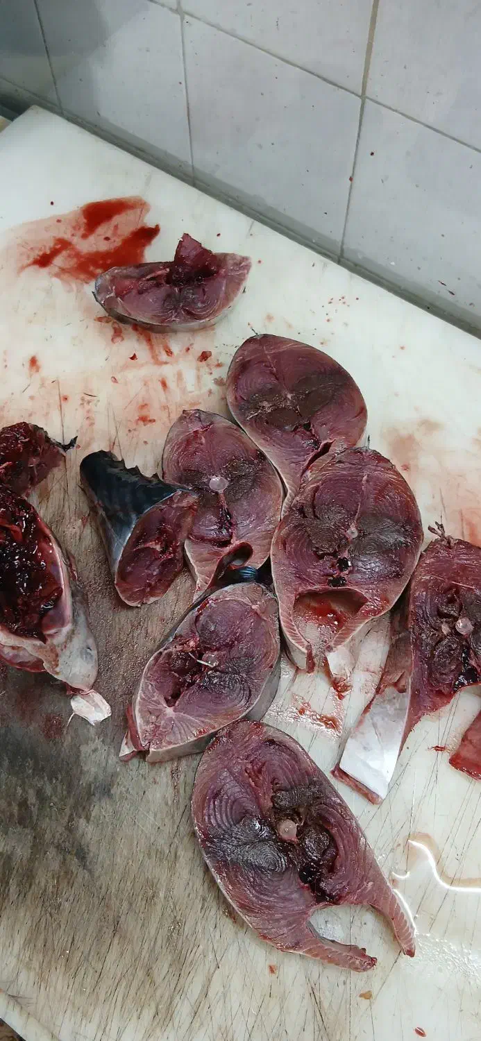 ماهی تازه|ماهی|جهرم, |دیوار