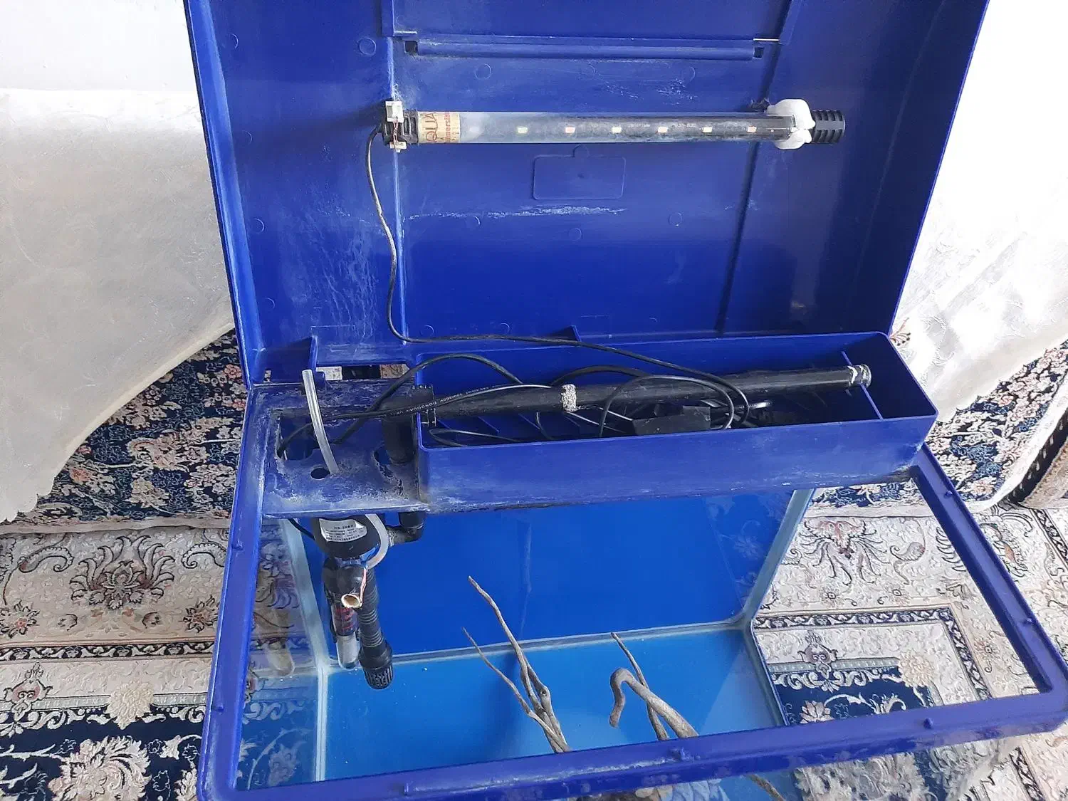 آکواریوم شرکتی|ماهی|سنندج, |دیوار