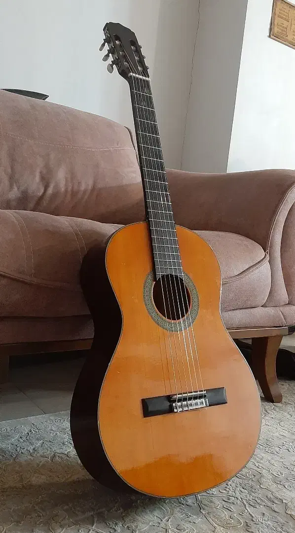 گیتار آریا Ak 20 ساخت اندونزی|گیتار، بیس، امپلیفایر|زنجان, |دیوار