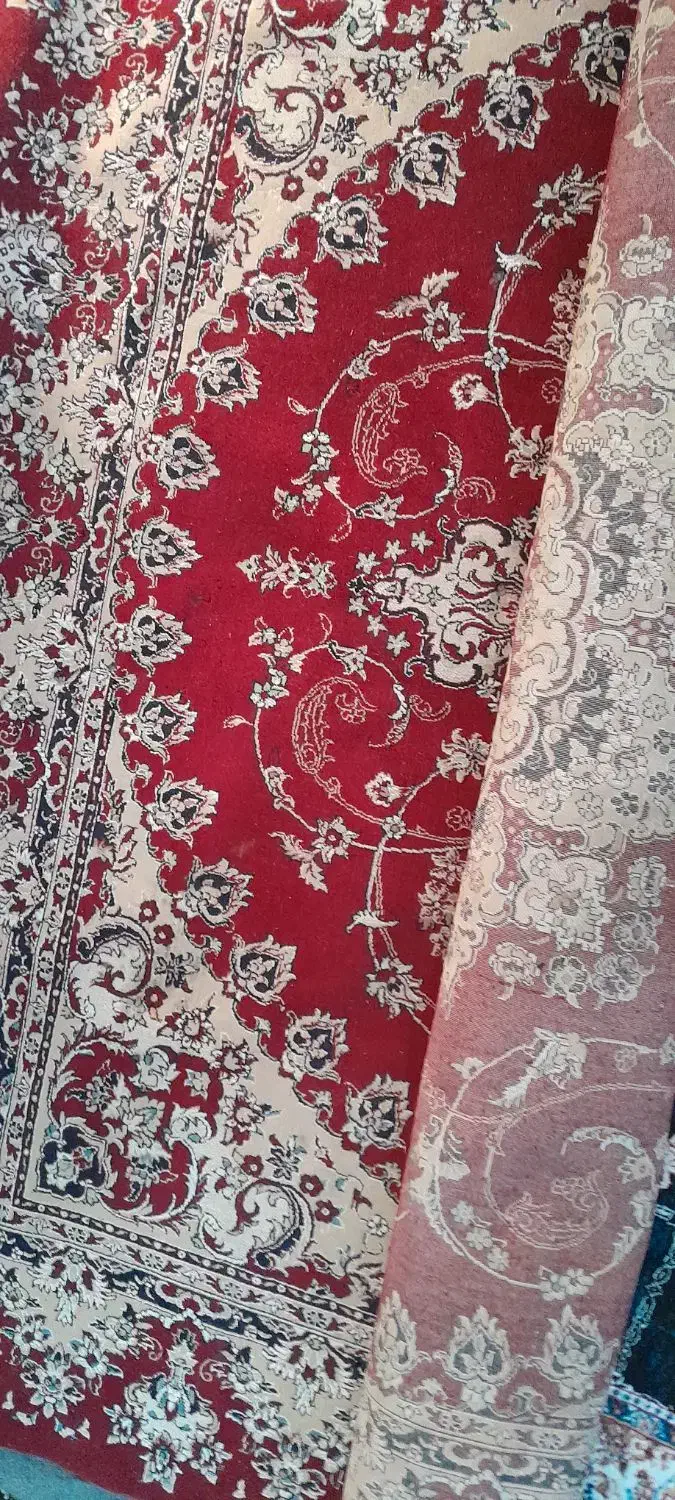 قالی ۱۲متری|فرش|شوشتر, |دیوار