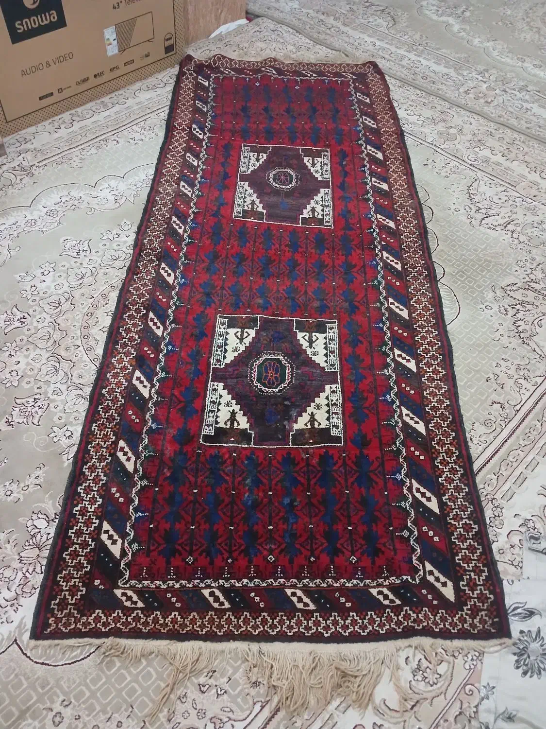 قالی دستبافت|گلیم، جاجیم، گبه|چناران, |دیوار