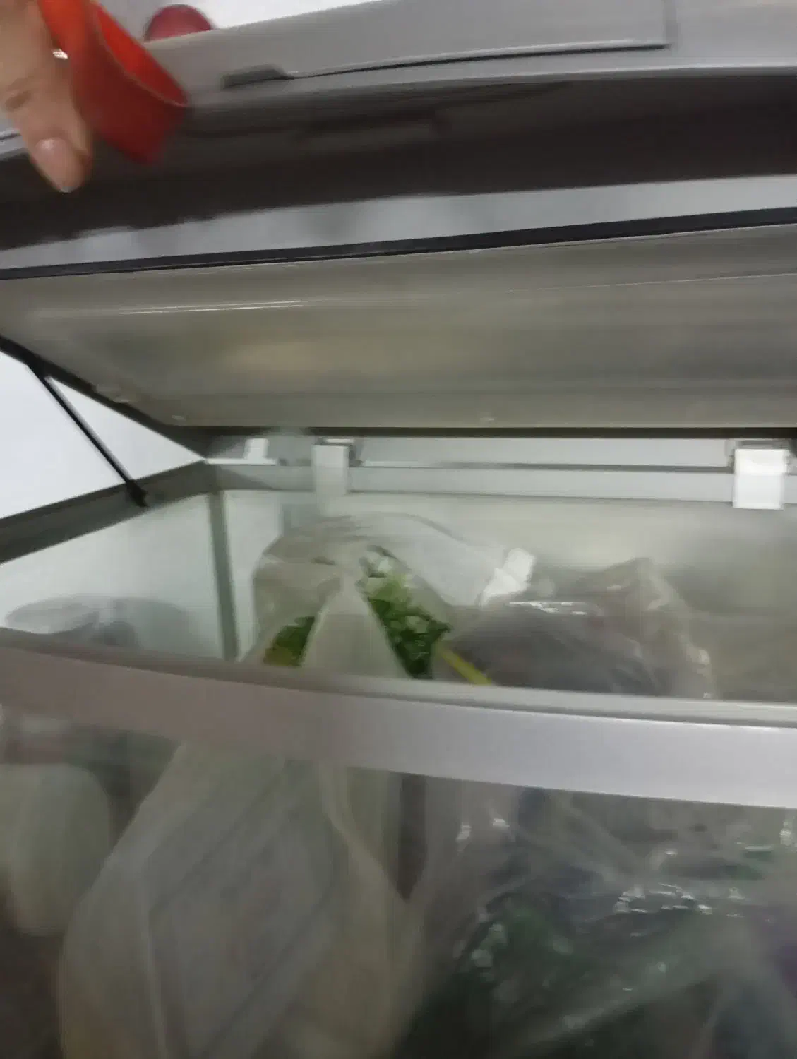 اکواریوم|ماهی|کرمانشاه, |دیوار