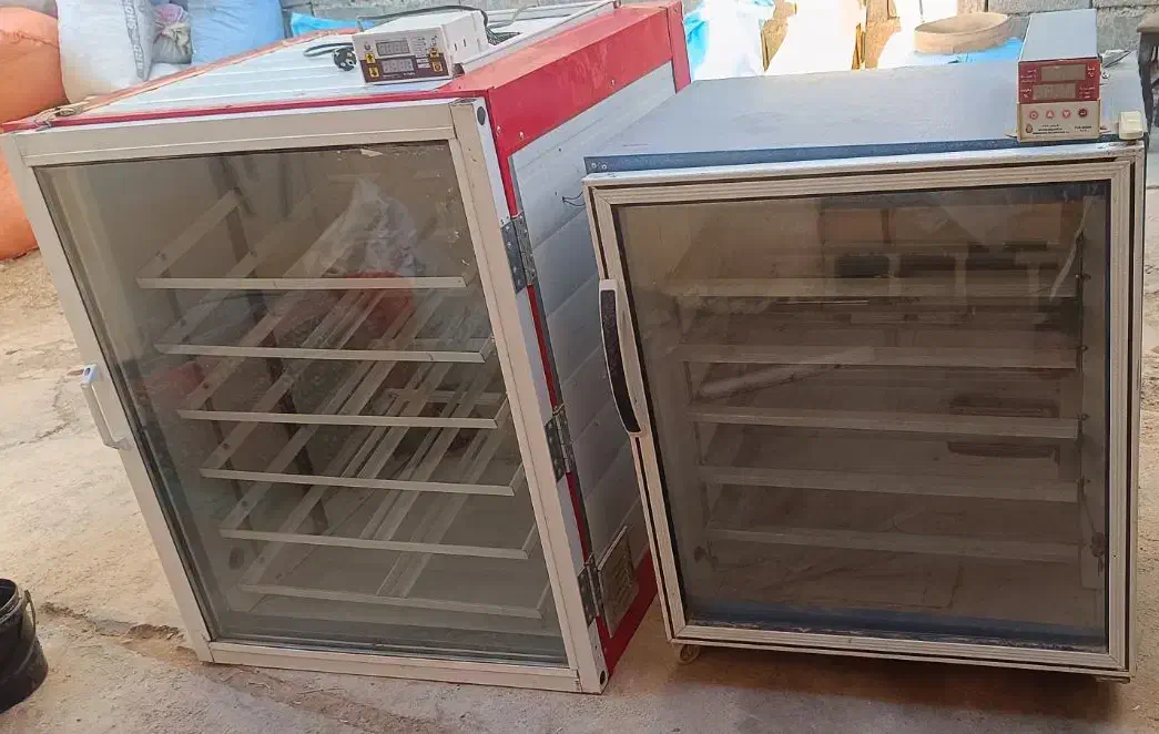 دستگاه جوجه کشی 1008تایی و 400تایی|لوازم جانبی حیوانات|آباده, |دیوار