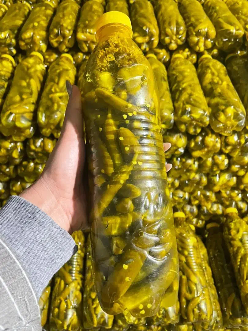 فروش خیارشور|عمده‌فروشی|اسالم, |دیوار