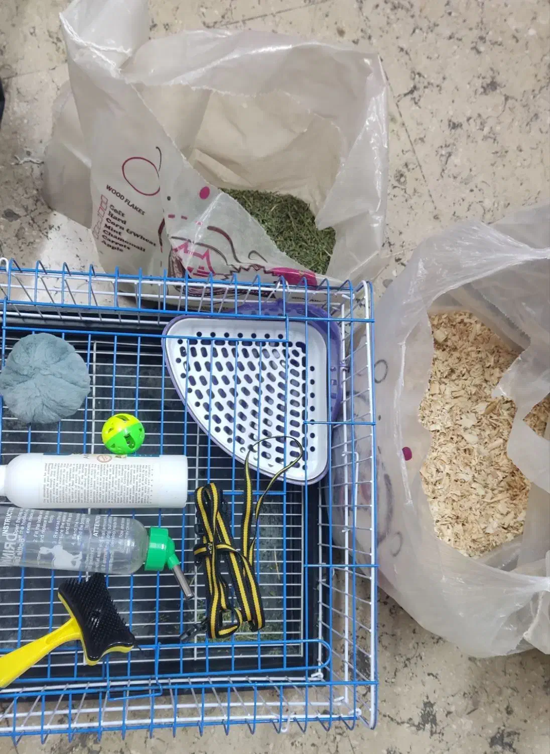 واگذاری خرگوش لوپ نر|موش و خرگوش|تهران, کاج|دیوار