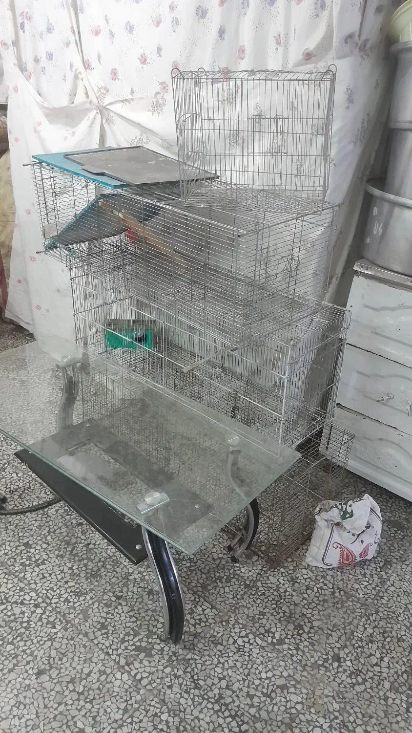 قفس چوبی قفس جوجه پران درب پنجره تابلو|لوازم جانبی حیوانات|خوی, |دیوار