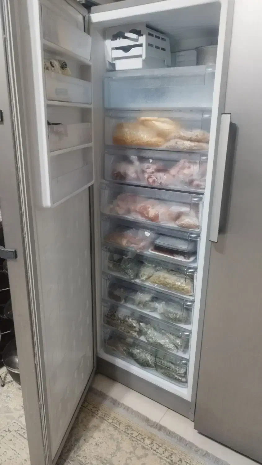یخچال فریزر دوقلو الکتروجنرال|یخچال و فریزر|لنجان, |دیوار