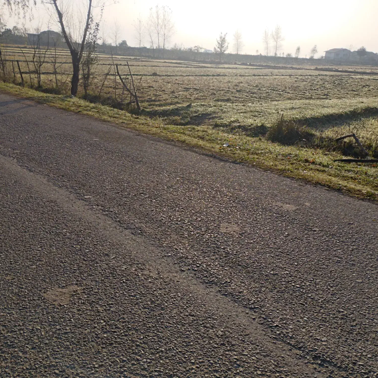 14000متر زمین مسکونی باغی بابر200متر لیسار تالش|فروش زمین و ملک کلنگی|لیسار, |دیوار