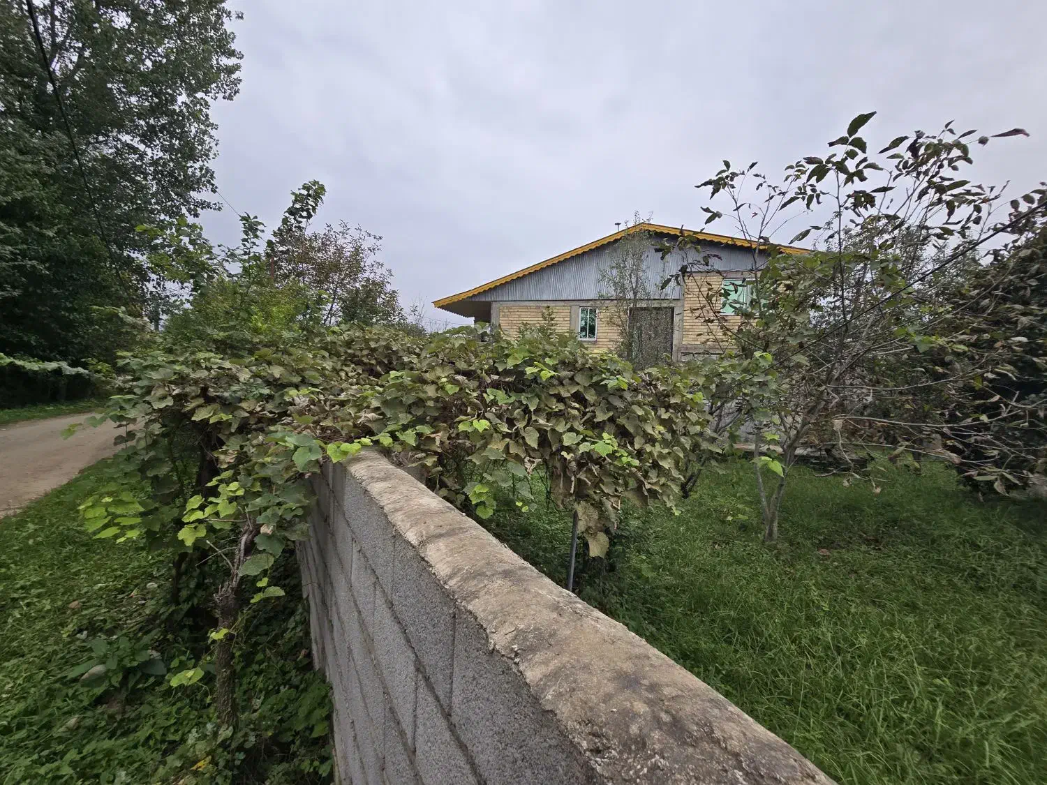 ۲۲۵ متر زمین مسکونی دور دیوار روستایی رضوانشهر|فروش زمین و ملک کلنگی|رضوانشهر, |دیوار