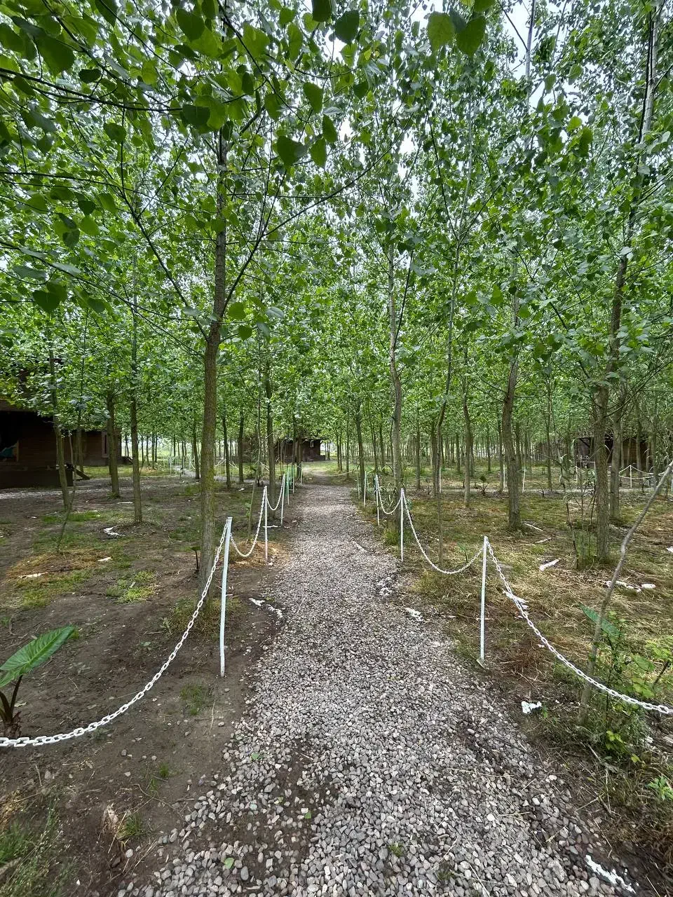 بهشتی در نزدیکی شما|فروش خانه و ویلا|تاکستان, |دیوار