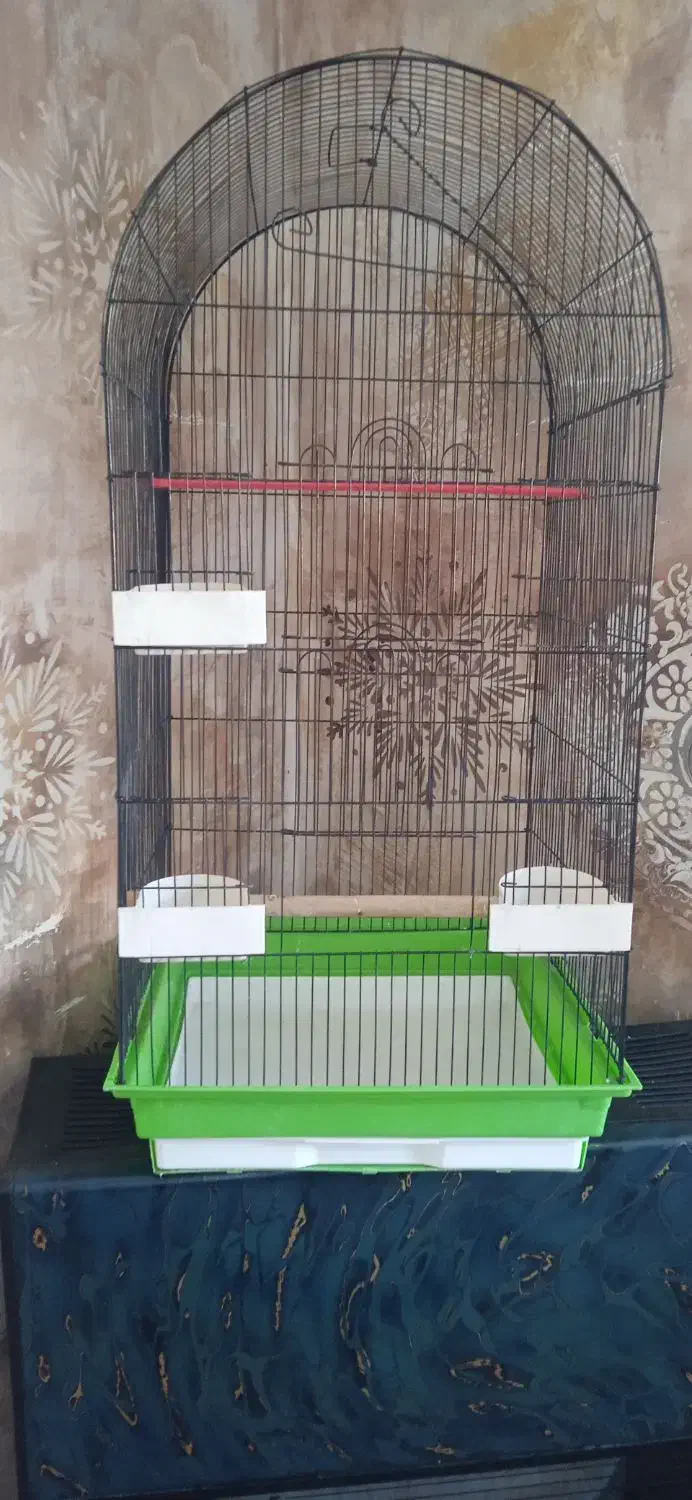قفس پرنده|لوازم جانبی حیوانات|دوگنبدان, |دیوار
