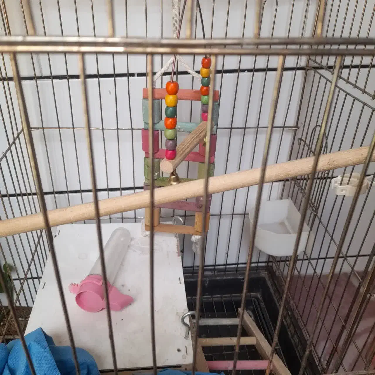 قفس کاسکویی بزرگ|لوازم جانبی حیوانات|قم, شهرک سازمان آب|دیوار