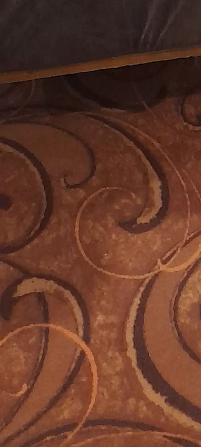 موکت|موکت|بیرجند, |دیوار