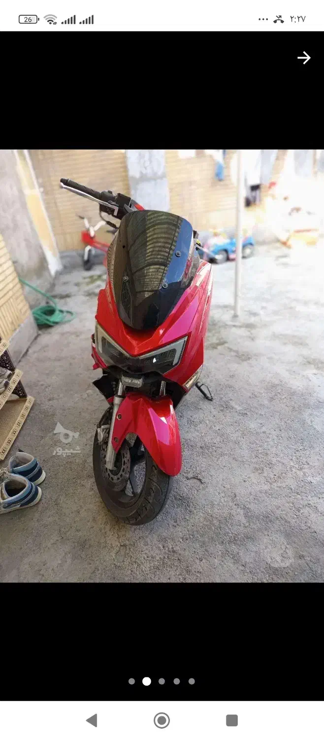 سگ نیه|حیوانات|سنندج, |دیوار