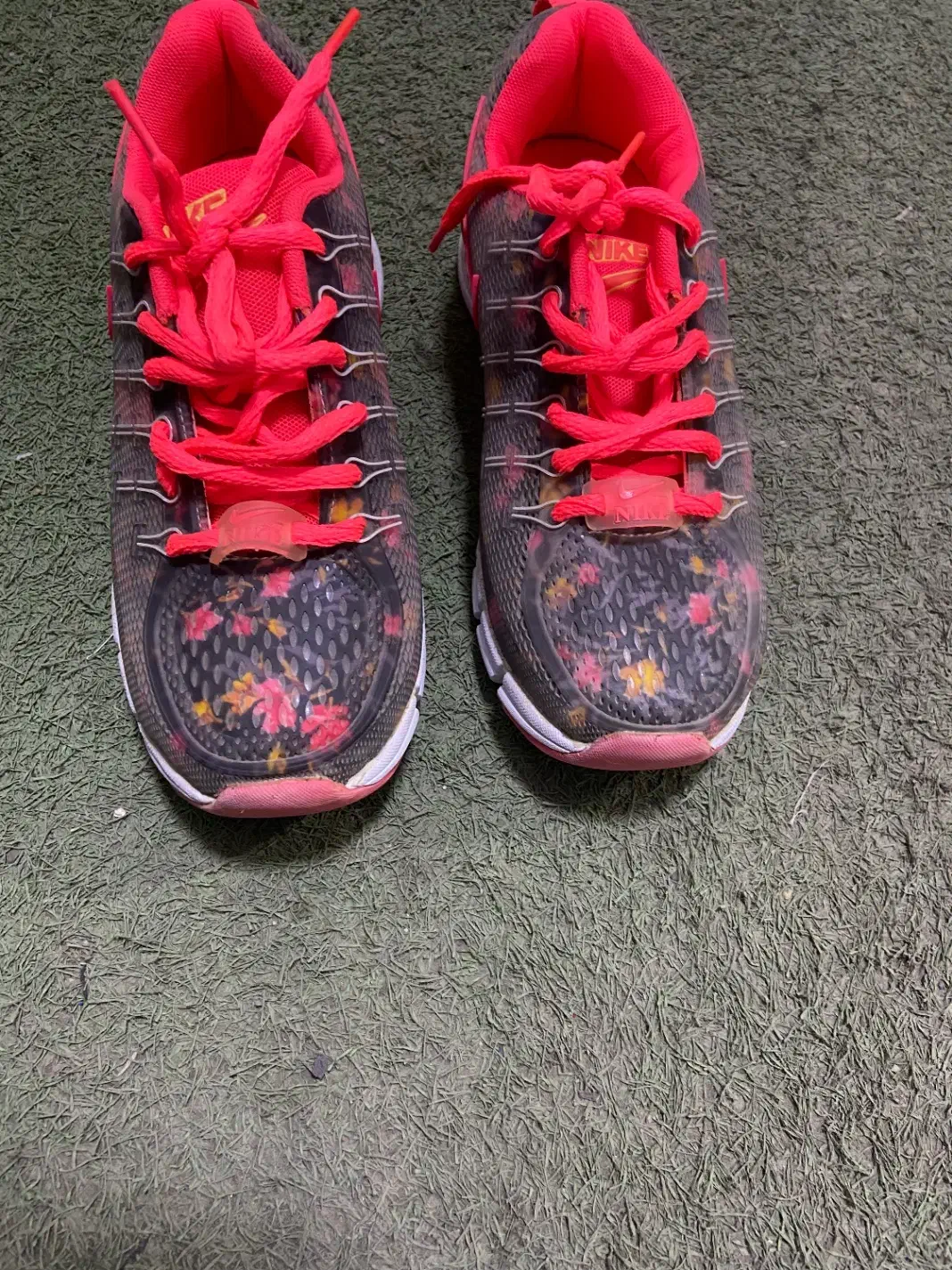 کتونی|کیف، کفش، کمربند|قائم‌شهر, |دیوار