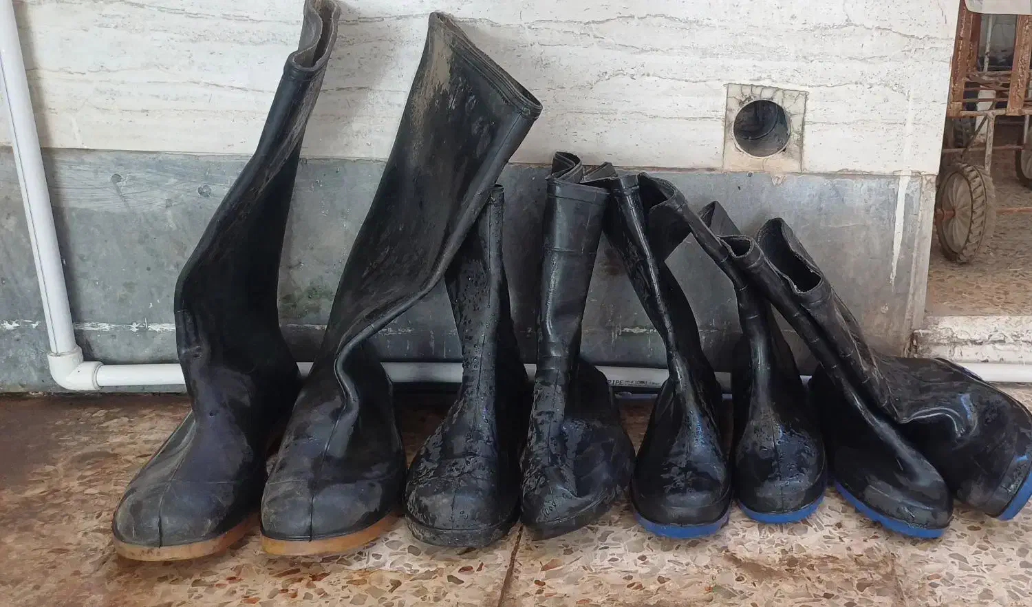 چهار جفت چکمه پلاستیکی|کیف، کفش، کمربند|اهواز, زندوکیلی|دیوار