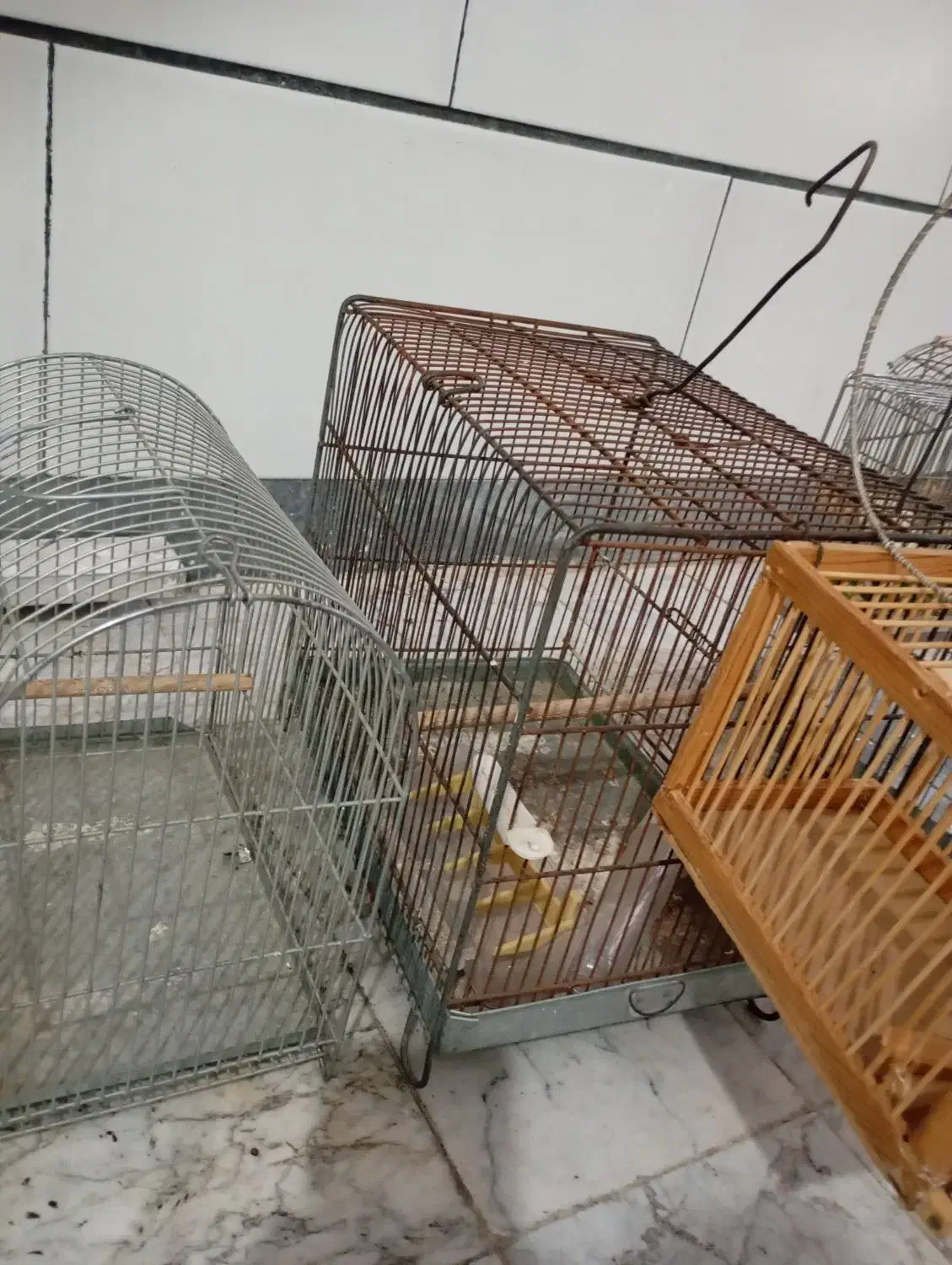 قفس سهره|لوازم جانبی حیوانات|اراک, |دیوار