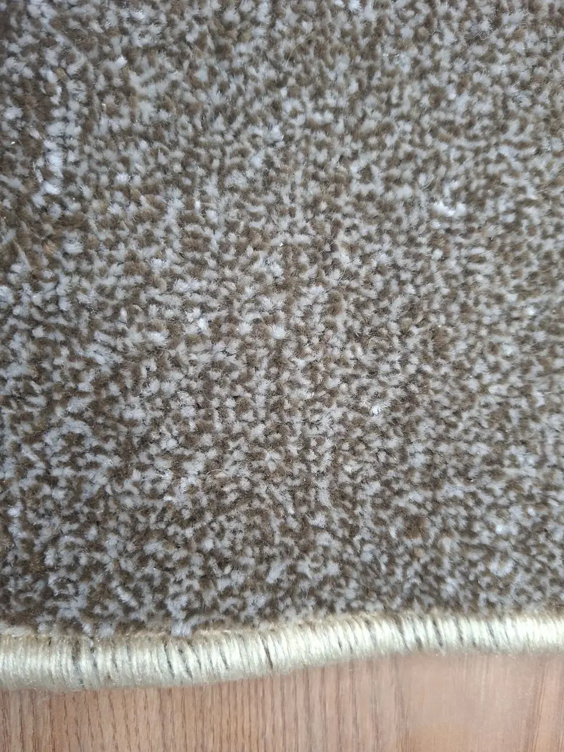 موکت|موکت|قزوین, |دیوار