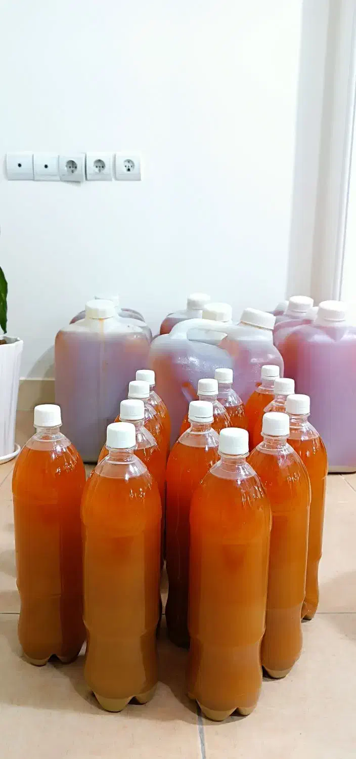 آبغوره تازه از باغات بیضا شیراز|خوردنی و آشامیدنی|اهواز, گلستان|دیوار