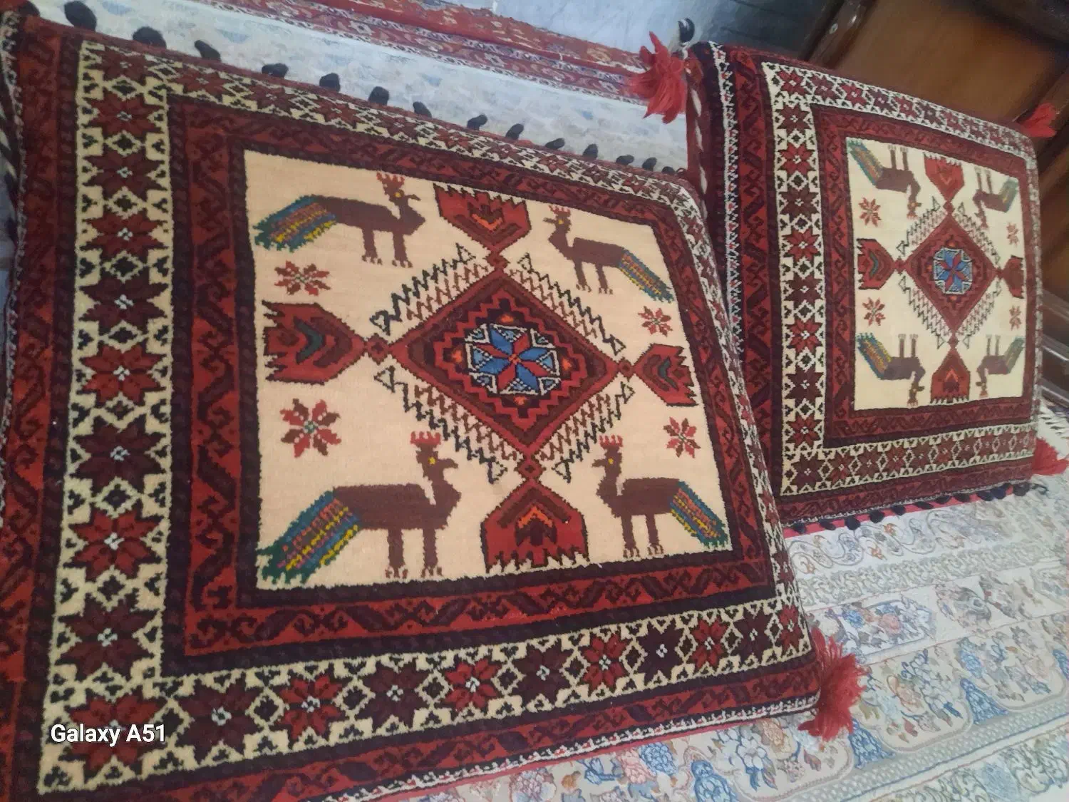 پشتی وفرش|پشتی|تربت‌حیدریه, حسنی بالا|دیوار