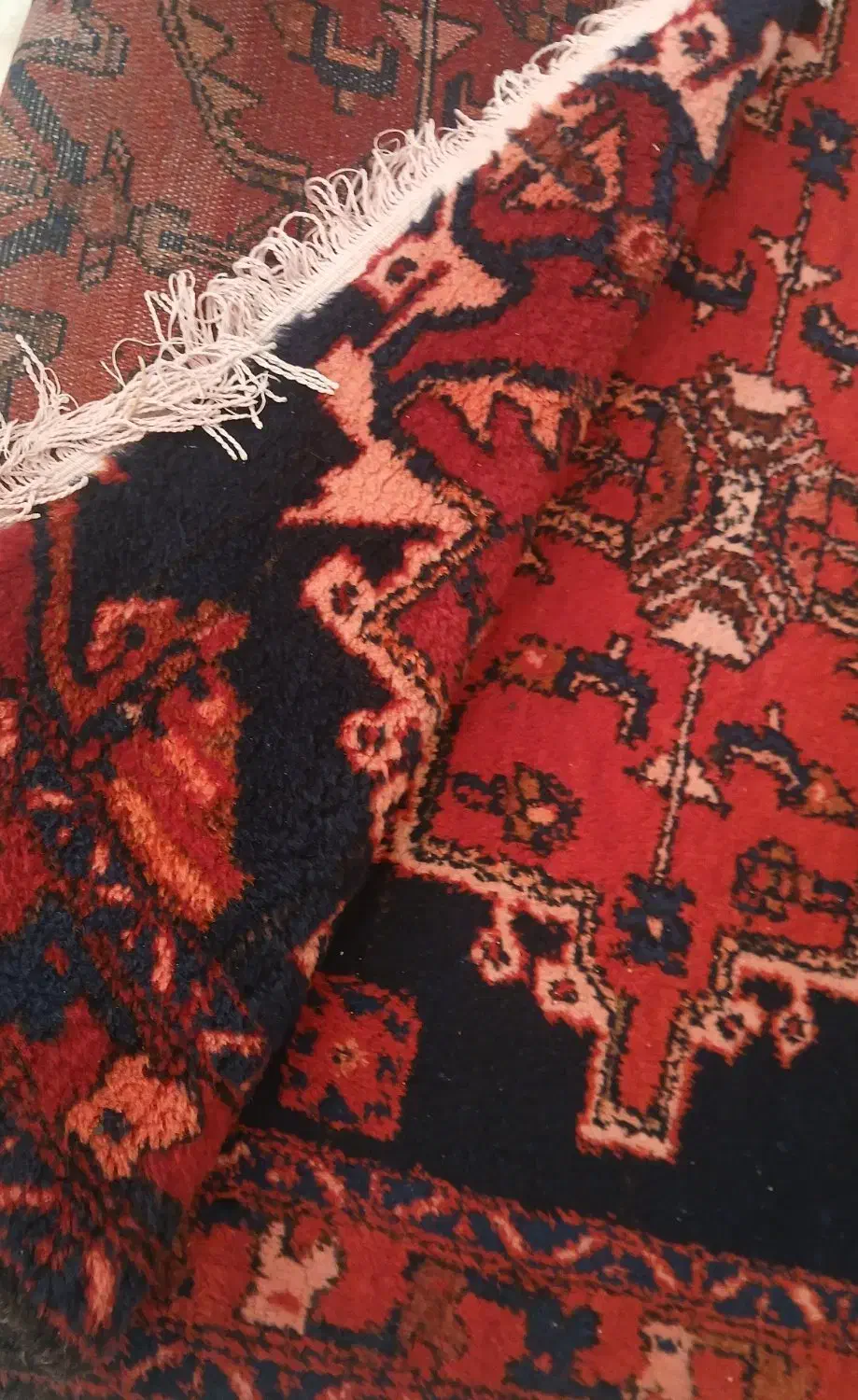 دستبافت قدیمی|فرش|شاهرود, |دیوار