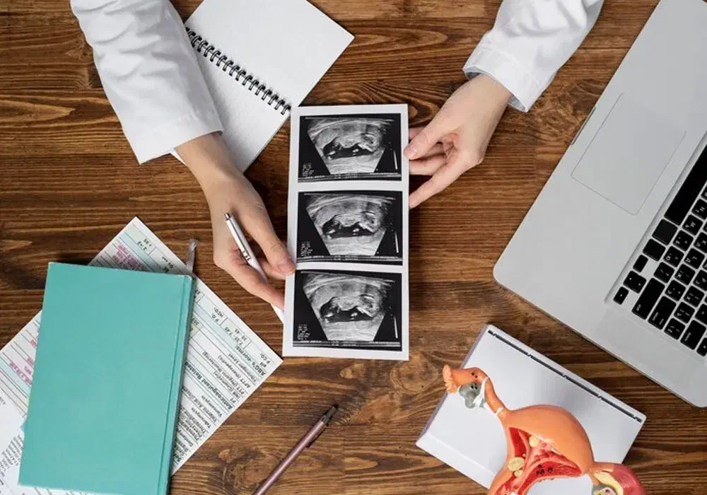 درآمد قطعی خانم ها با اهدای تخمک و رحم جایگزین|استخدام درمانی، زیبایی، بهداشتی|مرودشت, مسجد رسول|دیوار