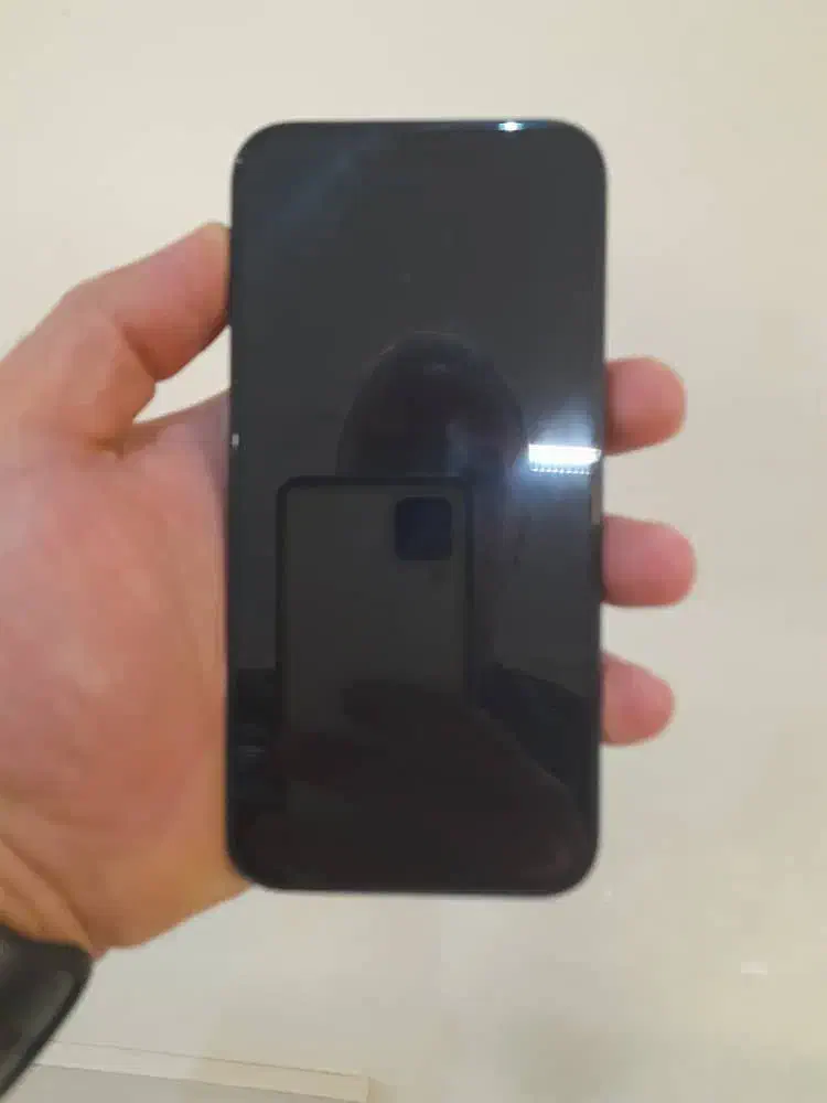 ایفون ۱۳ نرمال ch|موبایل|اصفهان, باغ دریاچه|دیوار