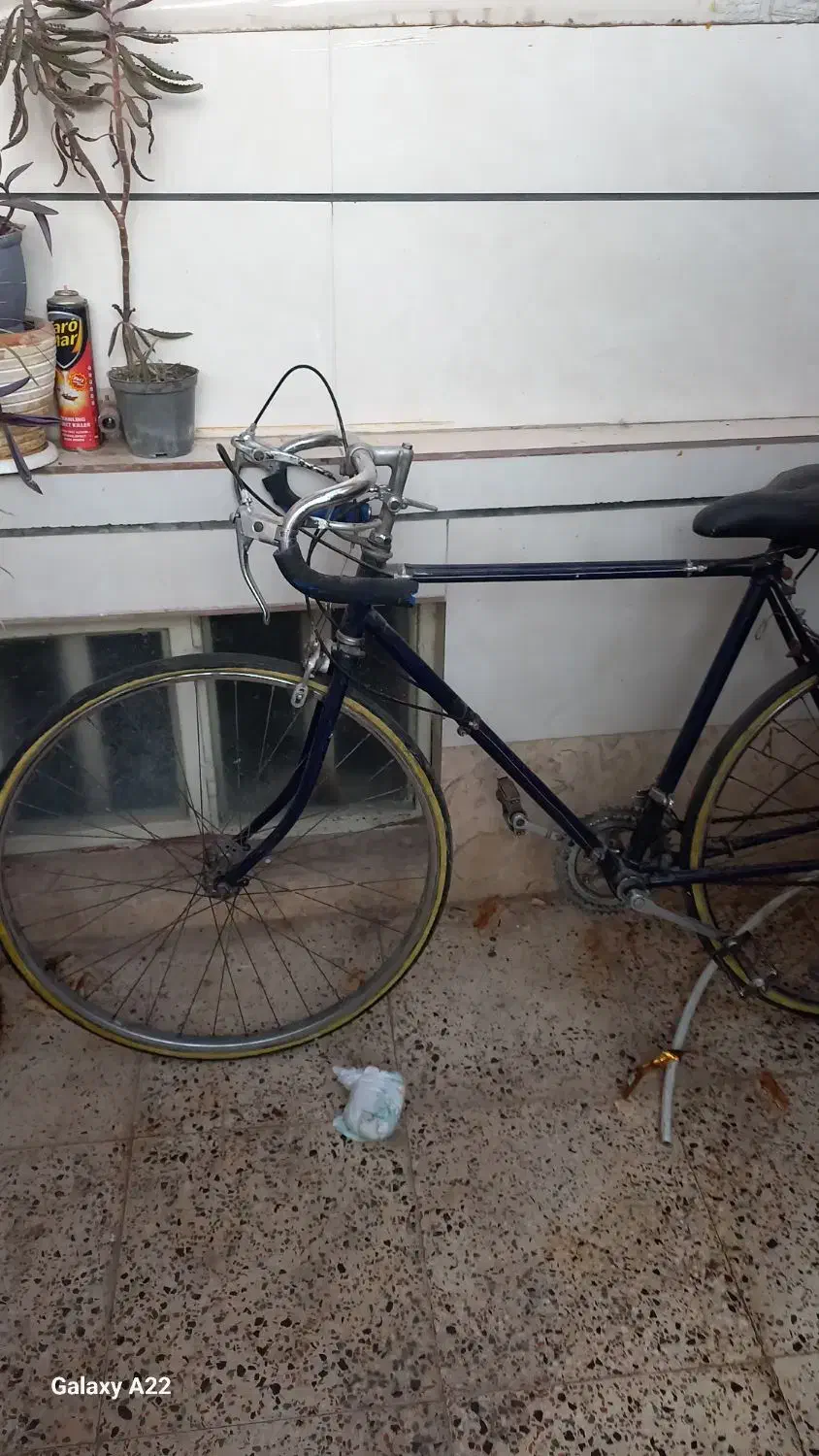 دوچرخه کورسی اصل|دوچرخه، اسکیت، اسکوتر|ورامین, خیر آباد|دیوار