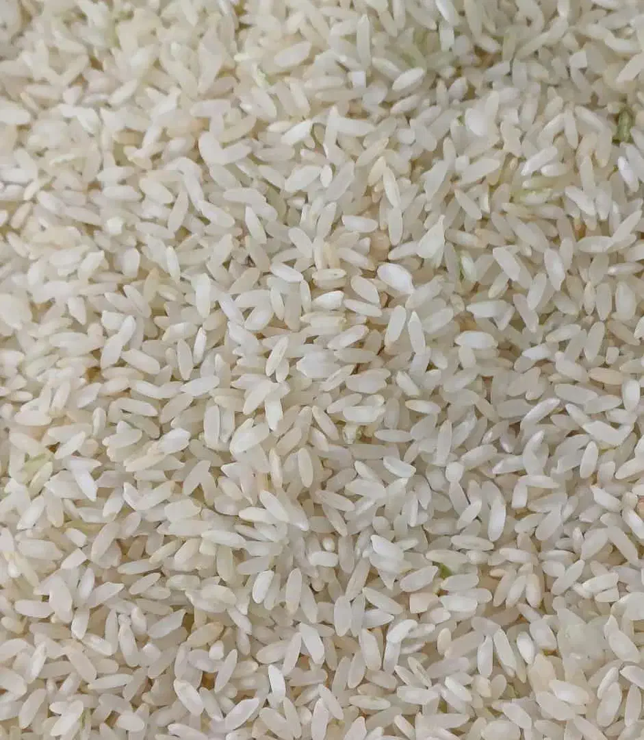 فروش برنج چمپا|خوردنی و آشامیدنی|یاسوج, |دیوار