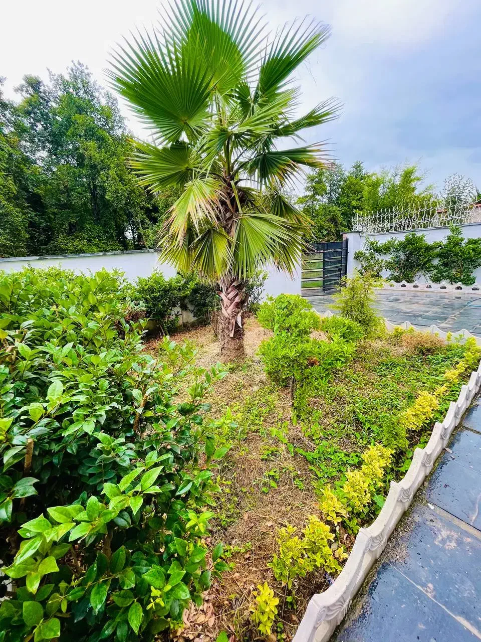 دوبلکس ۲۵۰ متری دو قدمی جنگل استخرداخلی|فروش خانه و ویلا|فریدون‌کنار, |دیوار