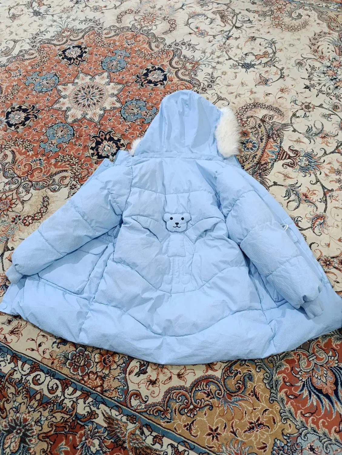 کاپشن|لباس|فیروزآباد (فارس), |دیوار