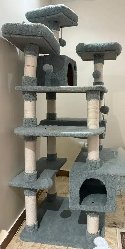 اسکرچر گربه هتل گربه ای|لوازم جانبی حیوانات|تهران, باغ خزانه|دیوار