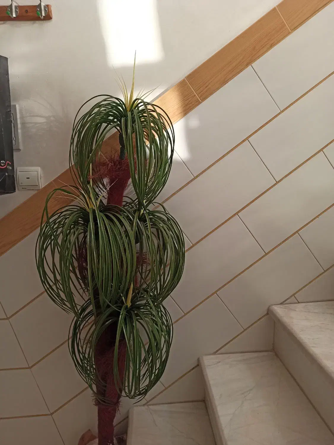 گلدان|گل مصنوعی|اراک, |دیوار