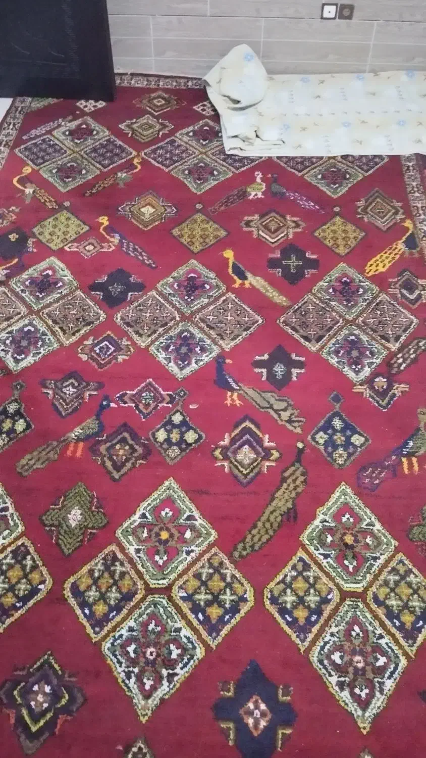 قالی دستباف تمام پشم با بهترین کیفیت|فرش|جیرفت, |دیوار