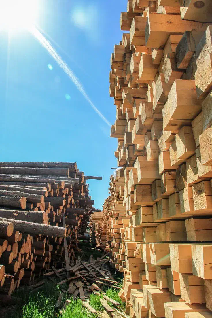 فروش چوب نراد|عمده‌فروشی|رشت, سلیمانداراب|دیوار