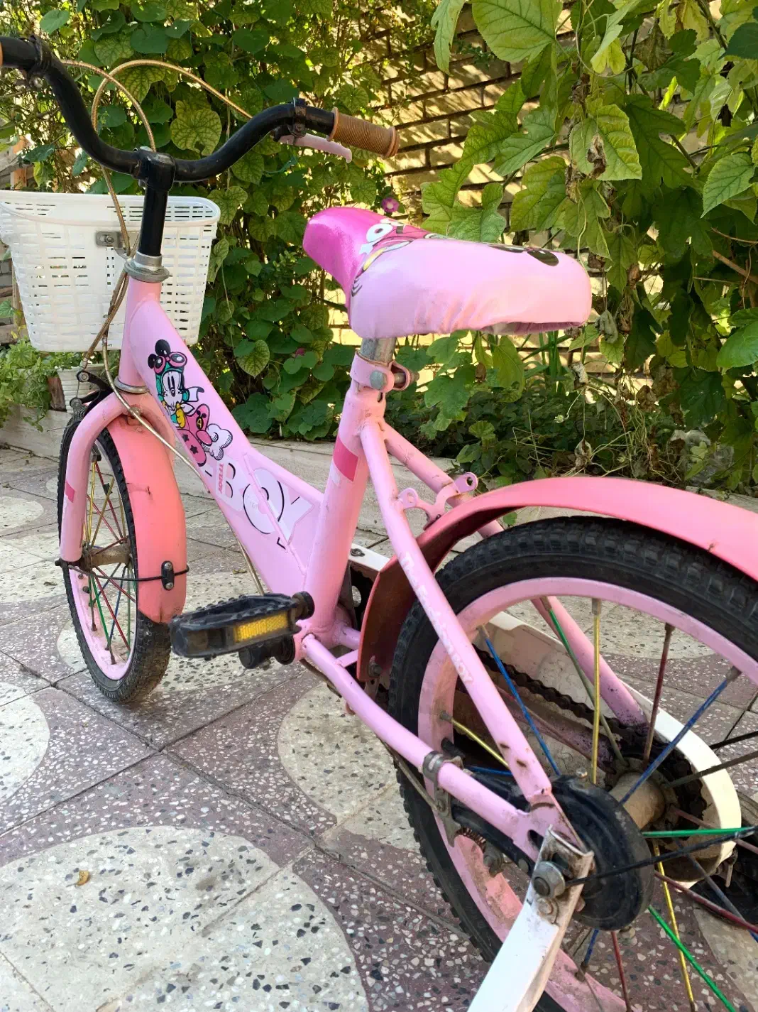 دوچرخه|دوچرخه، اسکیت، اسکوتر|اندیمشک, |دیوار