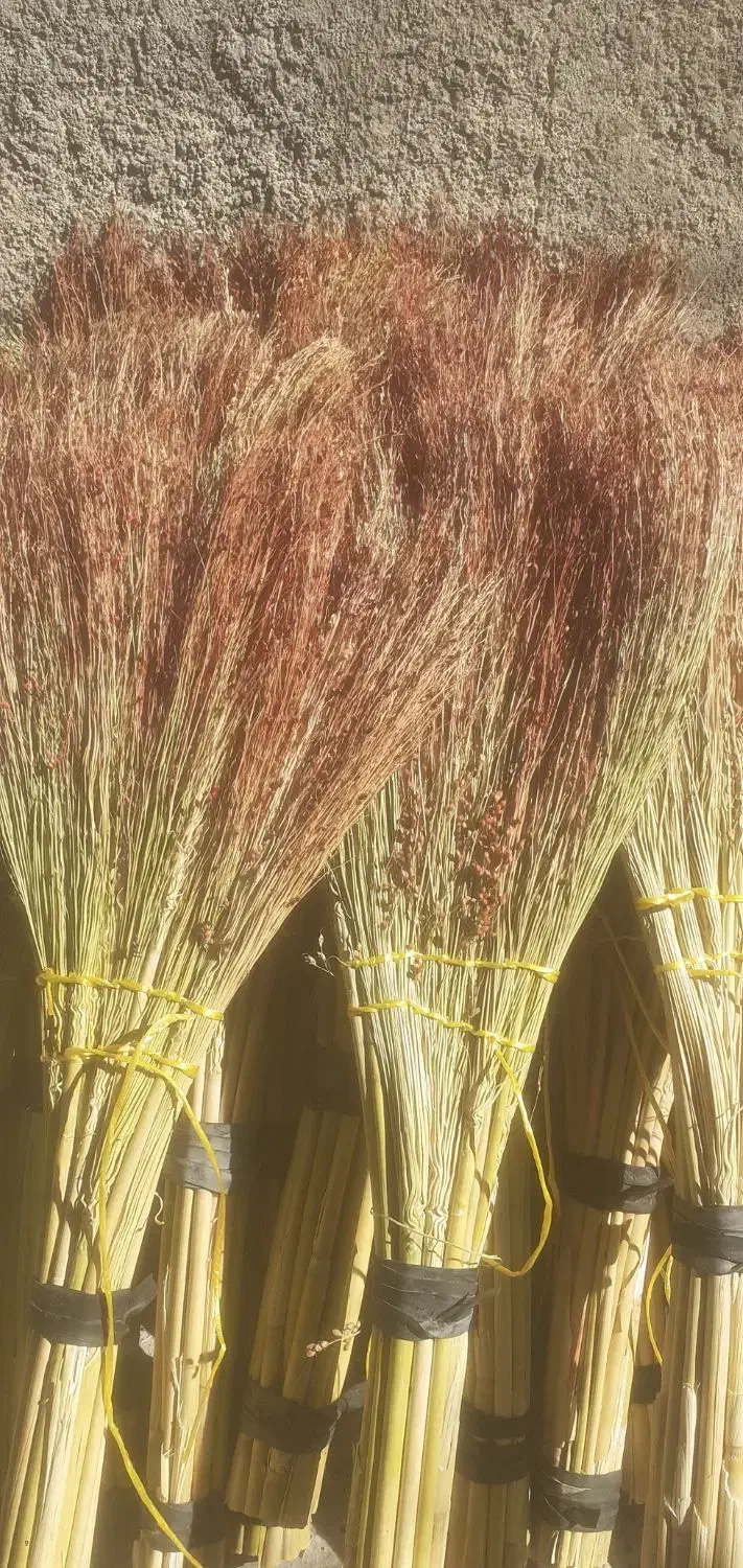 جارو اماده رسیده|لوازم نظافت|رومشکان, |دیوار