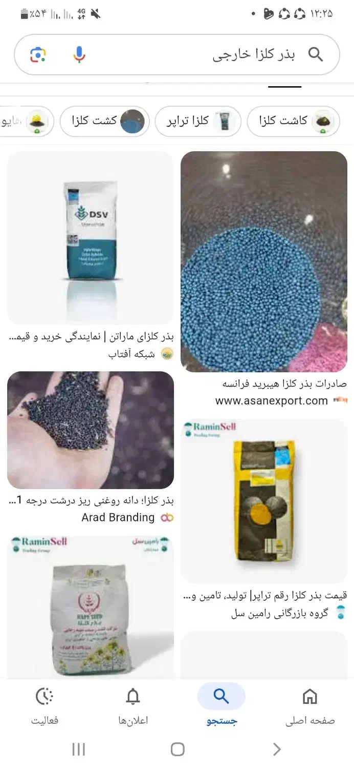 بذر کلزا|گل و گیاه طبیعی|صحنه, |دیوار