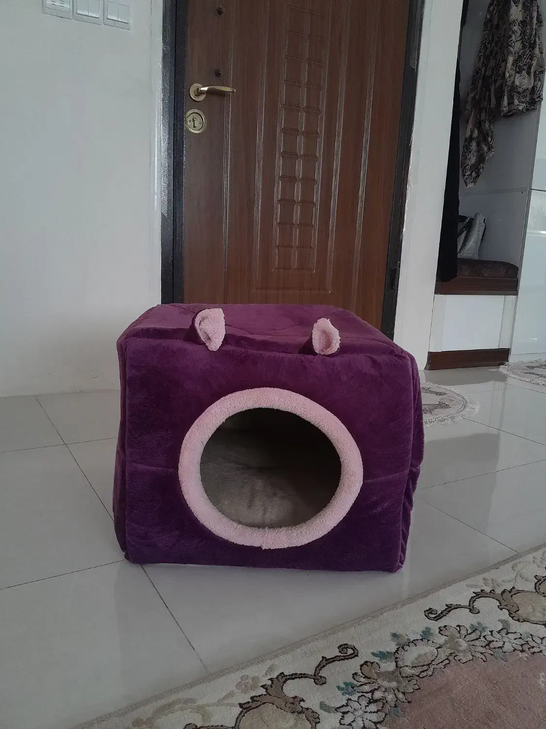 جای خواب گربه نو|لوازم جانبی حیوانات|قدس, شهرقدس|دیوار