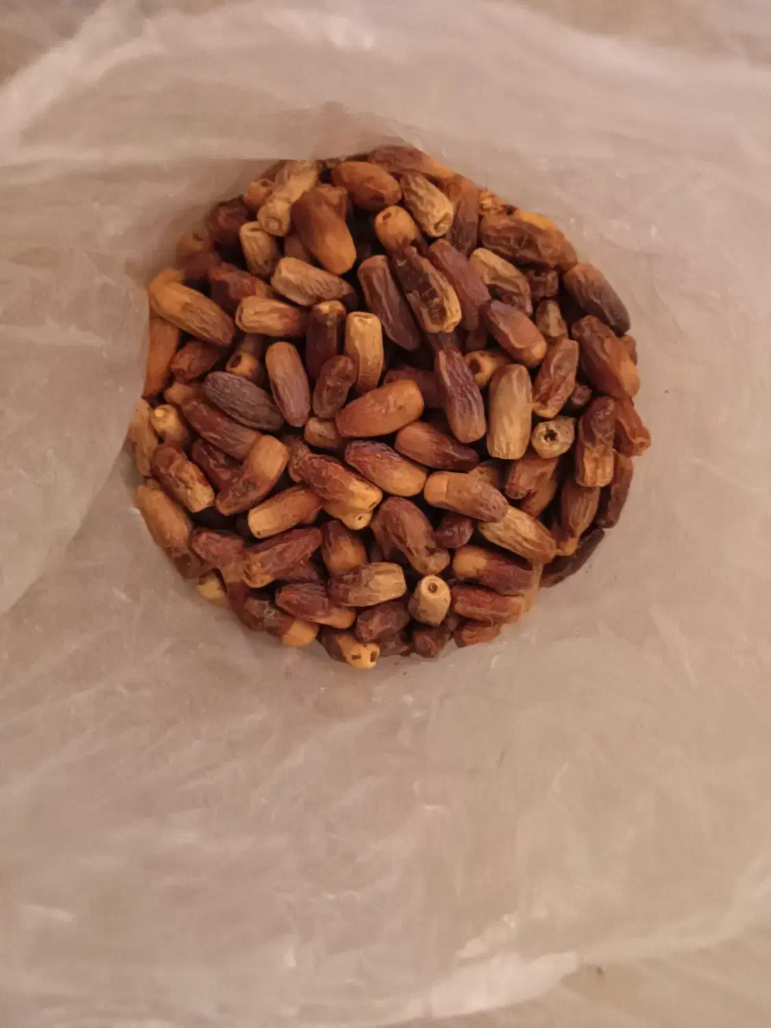 خرما سنگ شکن|حراج|زاهدان, |دیوار