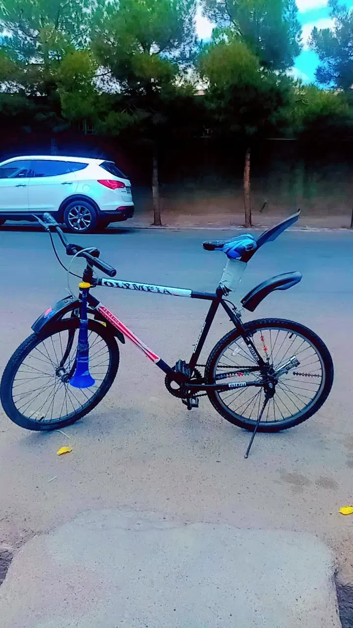 دوچرخه|دوچرخه، اسکیت، اسکوتر|تربت جام, یحیی آباد|دیوار