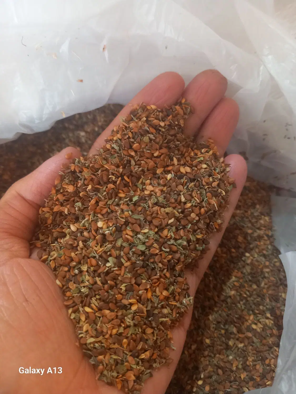 کنجد|خوردنی و آشامیدنی|بندرعباس, |دیوار