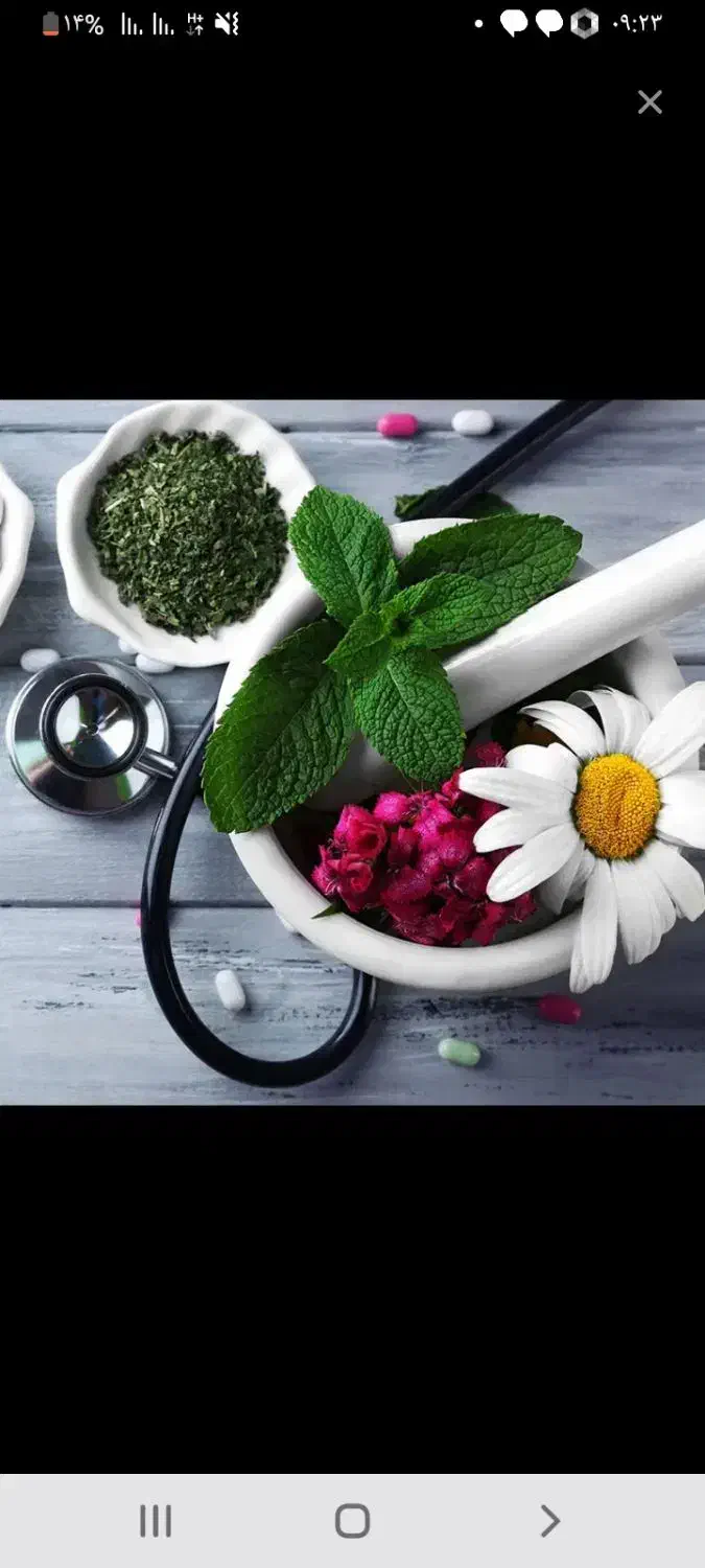 درمان|خدمات آرایشگری و زیبایی|زهک, |دیوار