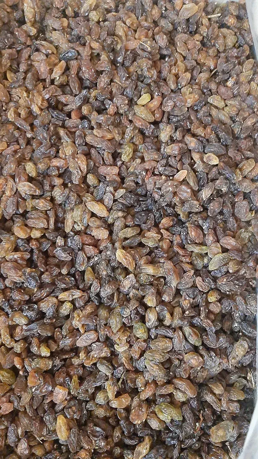 کشمش آبگیری کاشمر|خوردنی و آشامیدنی|یزد, |دیوار