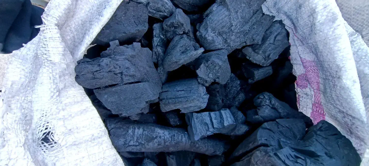 زغال کبابی|کافی‌شاپ و رستوران|شاندیز, |دیوار