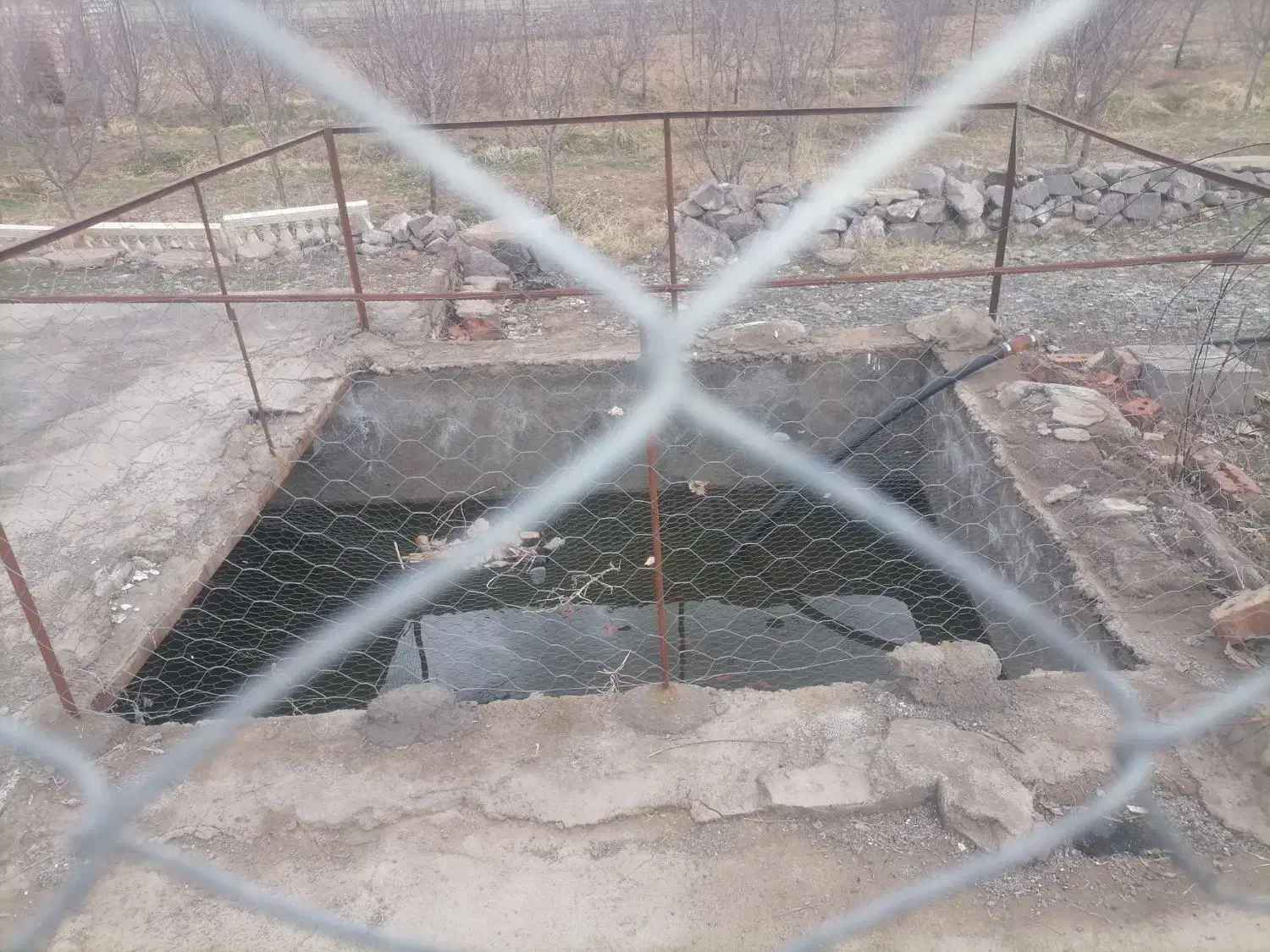 ماهی قرمز|ماهی|نیشابور, ناسیونال|دیوار